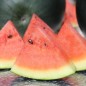 Preview: Wassermelone Bush Sugar Baby (Samen)