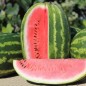 Preview: Wassermelone Cal Sweet (Samen)