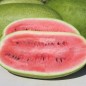 Preview: Wassermelone Charleston Gray (Samen)