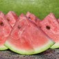 Preview: Wassermelone Charleston Gray (Samen)