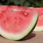 Preview: Wassermelone Congo (Samen)