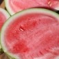 Preview: Wassermelone Dixie Queen (Samen)