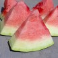Preview: Wassermelone Florida Giant (Samen)