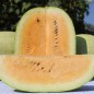 Preview: Wassermelone Missouri Heirloom (Samen)