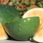 Preview: Wassermelone Moon and Stars Yellow Fleshed (Samen)