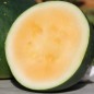 Preview: Wassermelone Moon and Stars Yellow Fleshed (Samen)