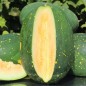 Preview: Wassermelone Moon and Stars Yellow Fleshed (Samen)