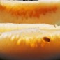Preview: Wassermelone Orangeglo (Samen)