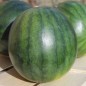 Preview: Wassermelone Sugar Baby (Samen)