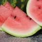 Preview: Wassermelone Sweet Dakota Rose (Samen)