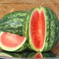 Preview: Wassermelone Wilson's Sweet (Samen)