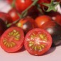 Preview: Wildtomate Bronner Wild (Freilandsorte) (Samen)