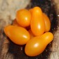 Preview: Wildtomate Mikro Birnchen gelb (Freilandsorte) (Samen)