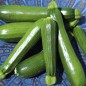 Preview: Zucchini Black Beauty (Samen)