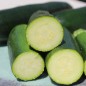 Preview: Zucchini Black Beauty (Samen)