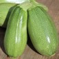 Preview: Zucchini Bolognese (Samen)