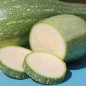 Preview: Zucchini Gray (Samen)