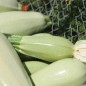 Preview: Zucchini Long White Bush (Samen)