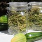 Preview: Neu! Zucchini Striato Pugliese (Samen)
