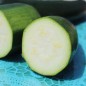 Preview: Zucchini Verte Noire Maraichere (Samen)