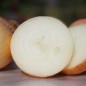 Preview: Zwiebel Dulce de Fuentes (Samen)