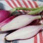 Preview: Zwiebel Rossa Lunga di Firenze  (Samen)