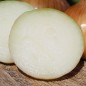 Preview: Zwiebel Walla Walla (Samen)