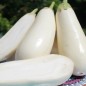 Preview: Aubergine Casper (Samen)