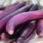 Preview: Aubergine Chinese Long (Samen)