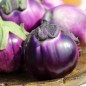Preview: Aubergine Violetta di Firenze (Samen)