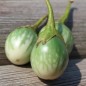 Preview: Aubergine Yhod Nam (Samen)