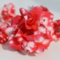 Preview: Balsamine Peppermint (Samen)
