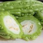 Preview: Bittermelone Thai Green (Samen)
