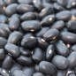 Preview: Buschbohne Black Turtle