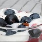 Preview: Blaubeere Darrow (Pflanze)