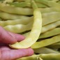 Preview: - Kopie - Kopie
