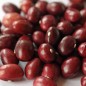 Preview: Stangenbohne San Michele Rosso (Samen)