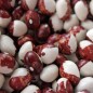 Preview: Stangenbohne Tuvagliedda Rossa (Samen)