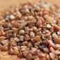 Preview: Buchweizen (Samen)