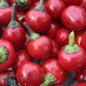 Preview: Chili Black Pearl (Schärfe 8) (Samen)