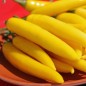 Preview: Chili Cayenne Yellow (Schärfe 6) (Samen)