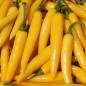 Preview: Chili Cayenne Yellow (Schärfe 6) (Samen)