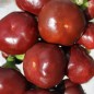 Preview: Chili Chocolate Cherry Pepper (Schärfe 3) (Samen)
