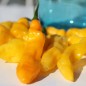 Preview: Chili Habanero Hot Lemon (Schärfe 10) (Samen)
