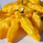 Preview: Chili Habanero Hot Lemon (Schärfe 10) (Samen)