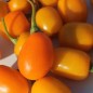 Preview: - Kopie - Kopie - Kopie - Kopie - Kopie