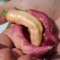 Preview: Chili Pink Tiger (Schärfe 10+) (Samen)