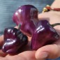 Preview: Chili Purple Ufo (Schärfe 6) (Samen)