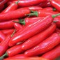 Preview: Chili Serrano (Schärfe 6) (Samen)