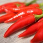 Preview: Chili Tabasco (Schärfe 8) (Samen)